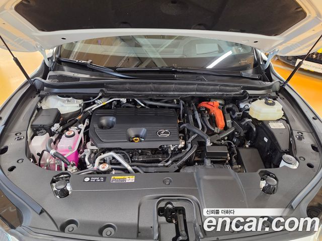 Lexus RX 2025 — photo 6