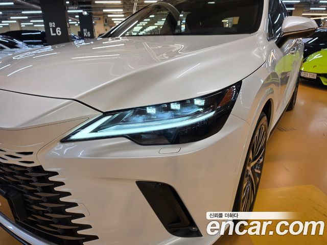 Lexus RX 2025 — photo 16
