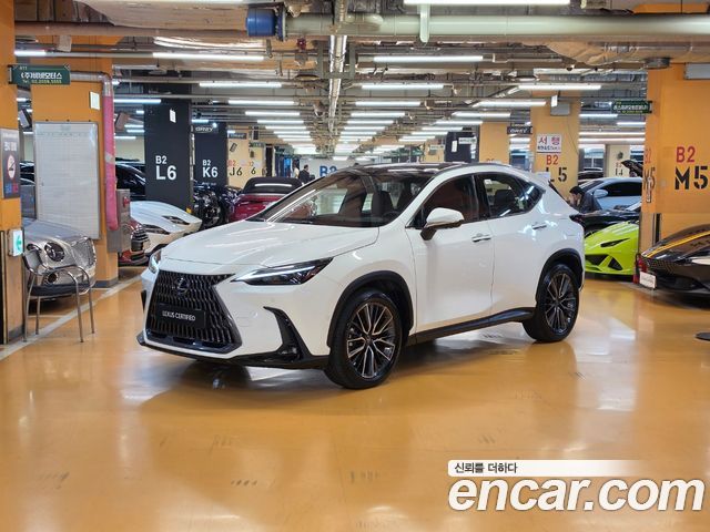 Lexus NX 2026 — photo 1