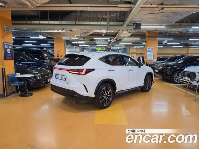 Lexus NX 2026 — photo 2