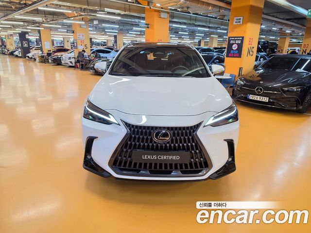 Lexus NX 2026 — photo 3