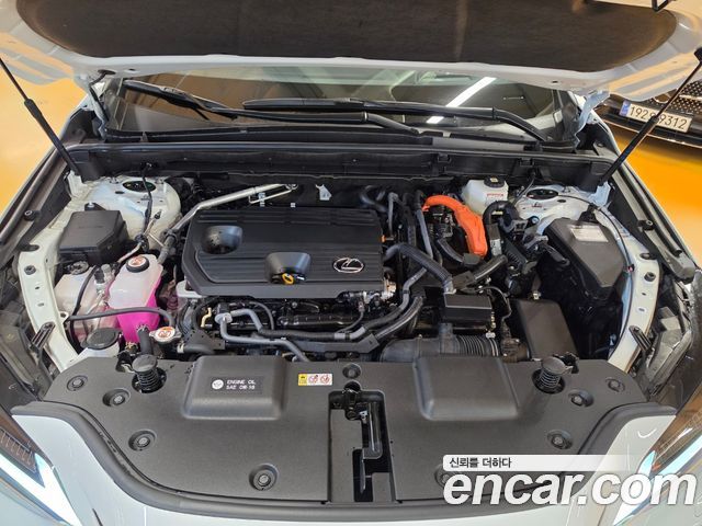 Lexus NX 2026 — photo 6