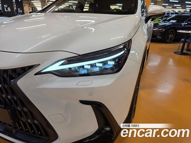 Lexus NX 2026 — photo 17