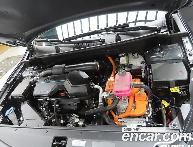 Kia Sportage 2024 — photo 6