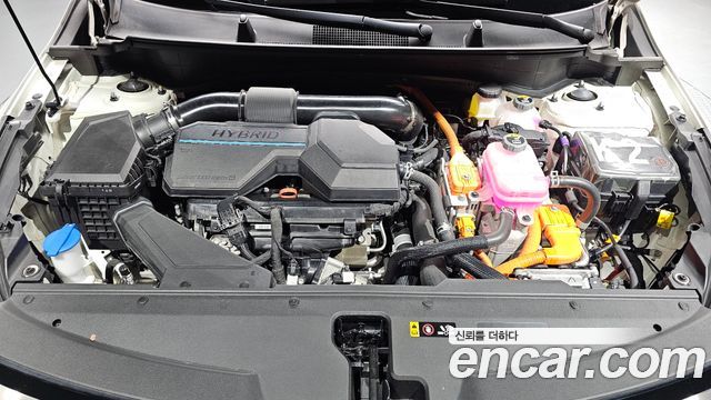 Kia Sportage 2024 — photo 6