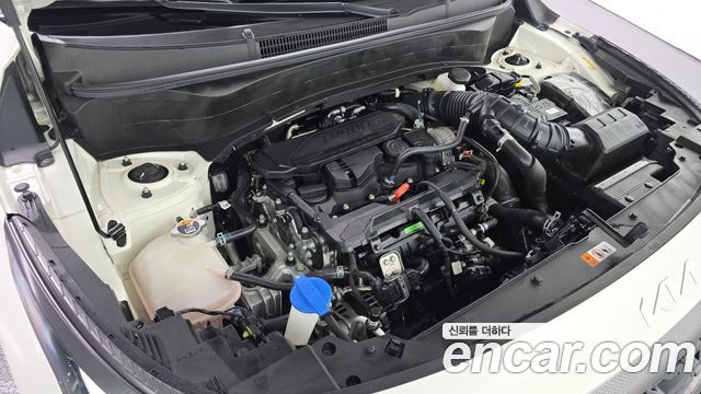 Kia Seltos 2023 — photo 6