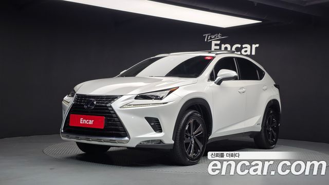 Lexus NX 2020 — photo 1