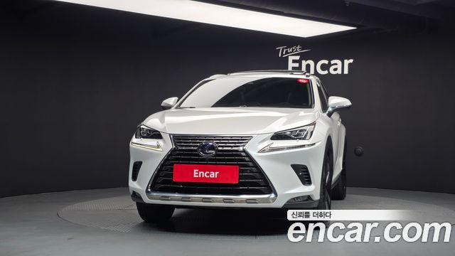 Lexus NX 2020 — photo 3