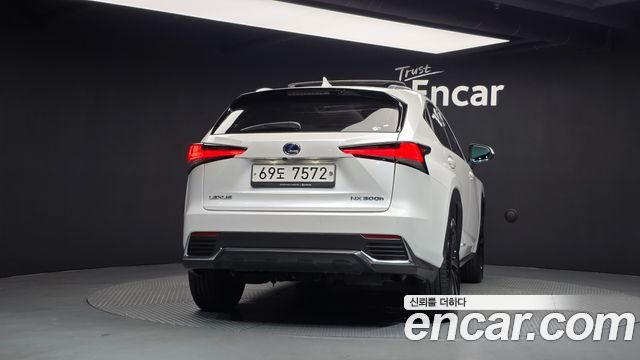 Lexus NX 2020 — photo 4