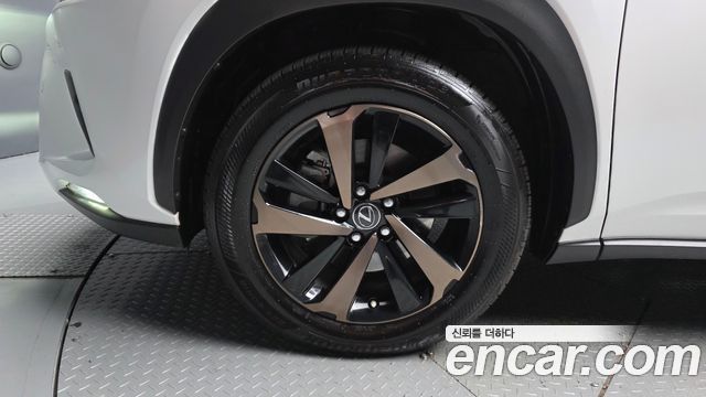 Lexus NX 2020 — photo 5