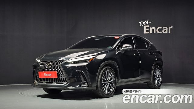 Lexus NX 2025 — photo 1