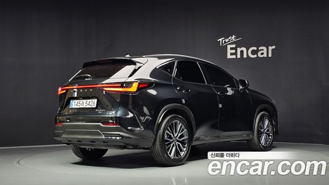 Lexus NX 2025 — photo 2
