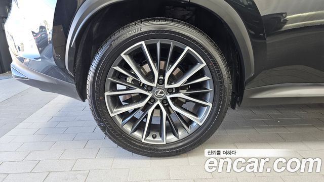 Lexus NX 2025 — photo 5