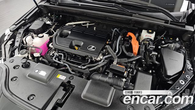 Lexus NX 2025 — photo 6