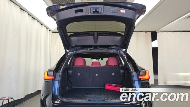 Lexus NX 2025 — photo 26