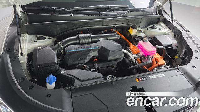Kia Sorento 2025 — photo 6