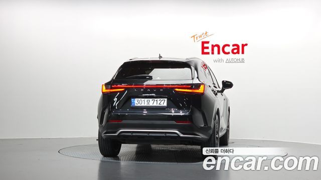 Lexus NX 2022 — photo 4