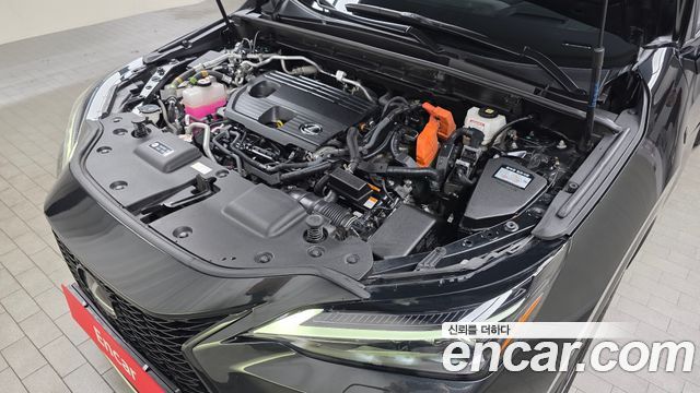 Lexus NX 2022 — photo 6