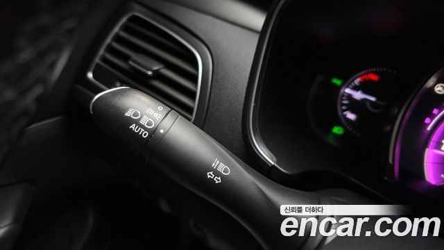 Renault Korea SM6 2019 — photo 29
