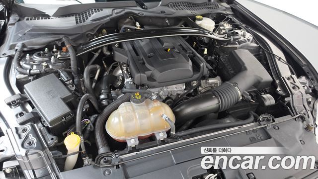 Ford Mustang 2019 — photo 6