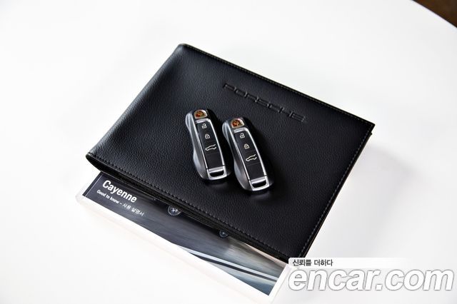 Porsche Cayenne 2020 — photo 19