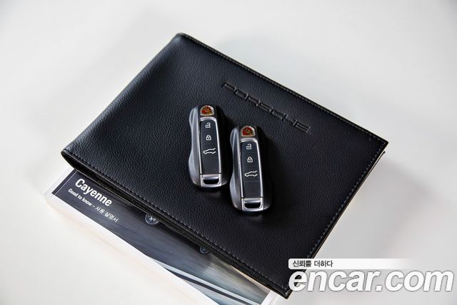 Porsche Cayenne 2021 — photo 19