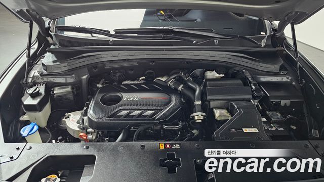 Hyundai Santafe 2020 — photo 6
