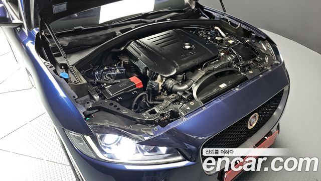 Jaguar F-PACE 2017 — photo 6