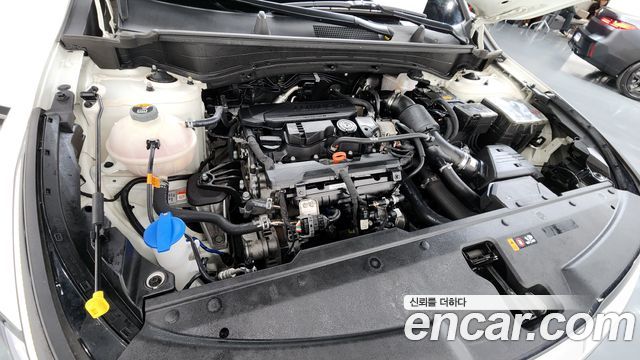 Kia Sportage 2022 — photo 6