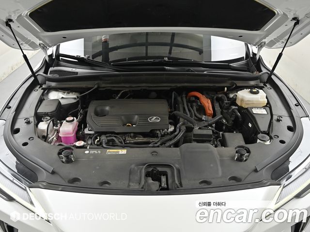 Lexus RX 2024 — photo 6