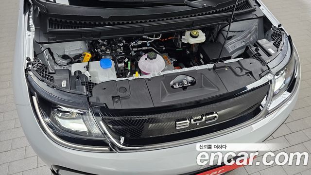 BYD Dolphin 2026 — photo 6