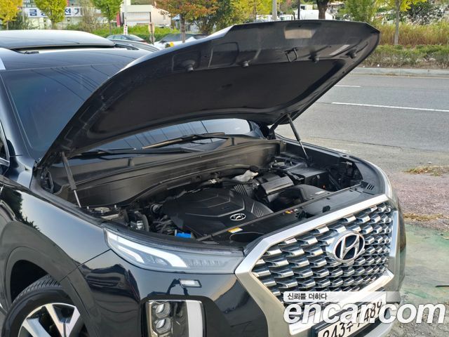 Hyundai Palisade 2019 — photo 20