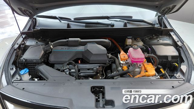 Kia Sportage 2023 — photo 6
