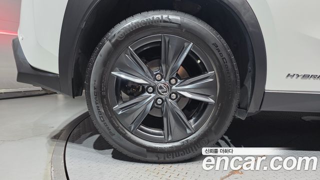 Lexus UX 2021 — photo 5