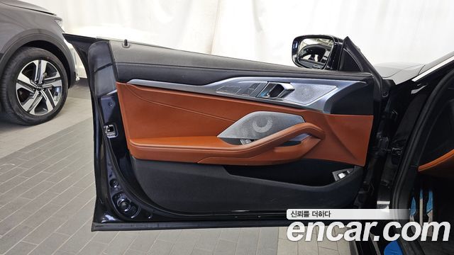 BMW 8-Series 2020 — photo 14