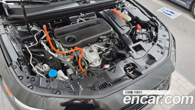 Honda Accord 2024 — photo 6