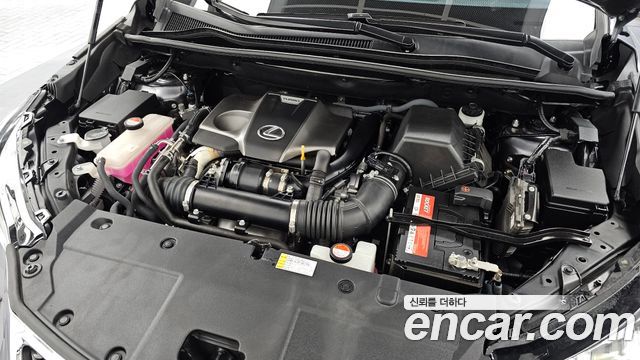 Lexus NX 2015 — photo 6