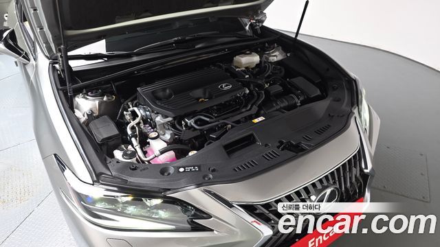 Lexus ES 2025 — photo 6