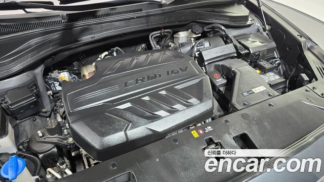 Hyundai Santafe 2019 — photo 6