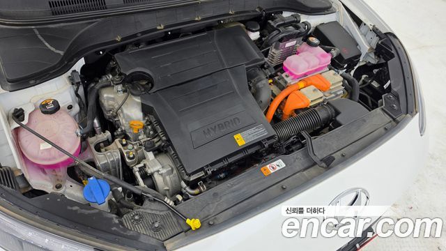 Hyundai Kona 2023 — photo 6