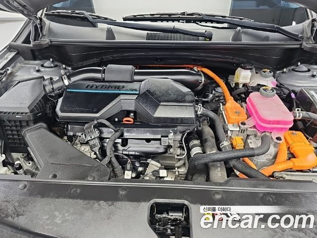 Kia Sportage 2024 — photo 5