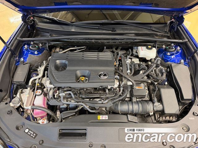 Lexus ES 2023 — photo 6