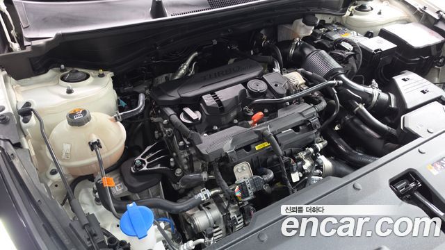 Kia Sportage 2025 — photo 6