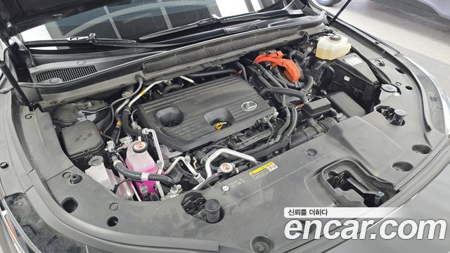 Lexus RX 2024 — photo 6