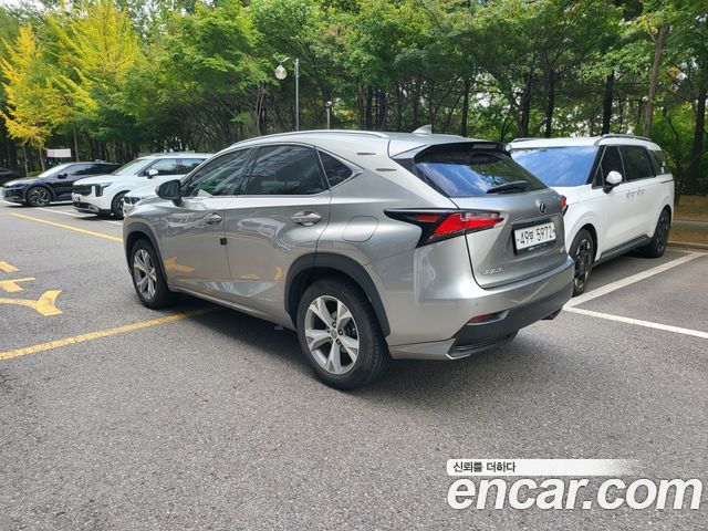 Lexus NX 2017 — photo 4