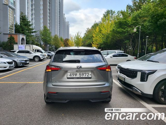 Lexus NX 2017 — photo 5