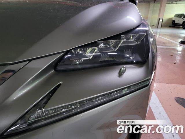 Lexus NX 2017 — photo 19