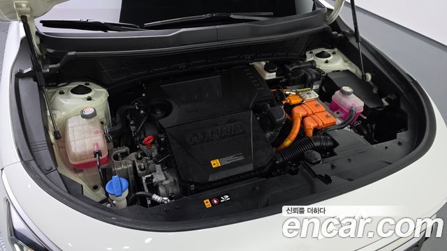 Kia Niro 2024 — photo 6
