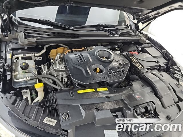 Renault Korea SM6 2016 — photo 6