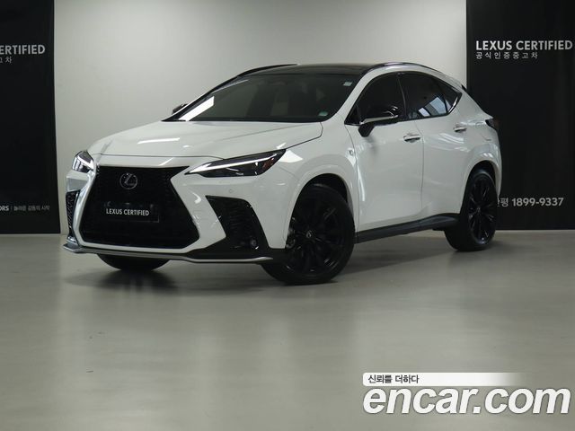 Lexus NX 2025 — photo 1